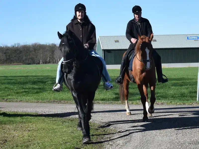 Twee ruiters op een landweg in de Kempen