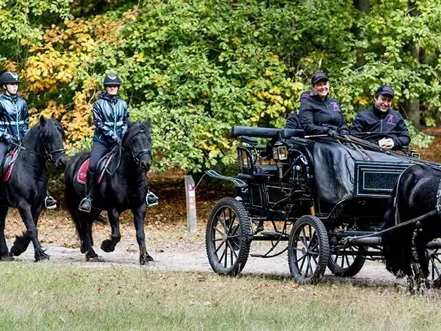 Ruiters en menners met een koets in herfstkleuren in de Kempen